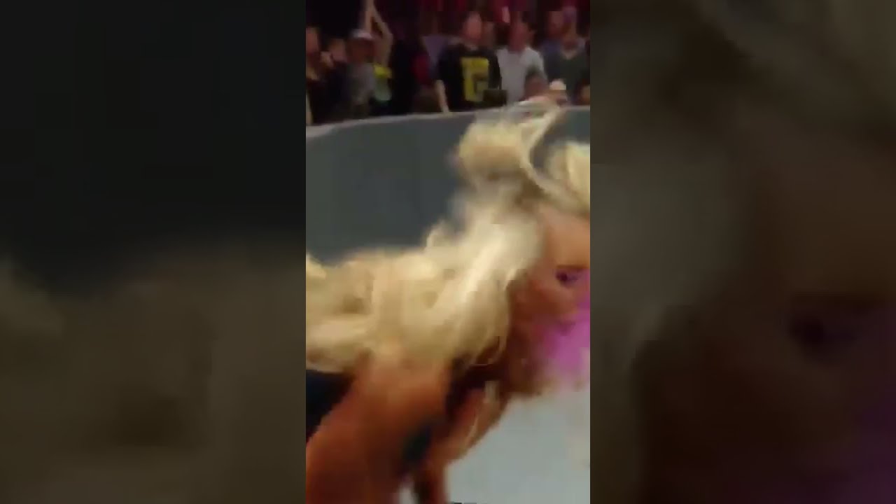 Charlotte flair gets her tits spanked by Sasha banks backdrop