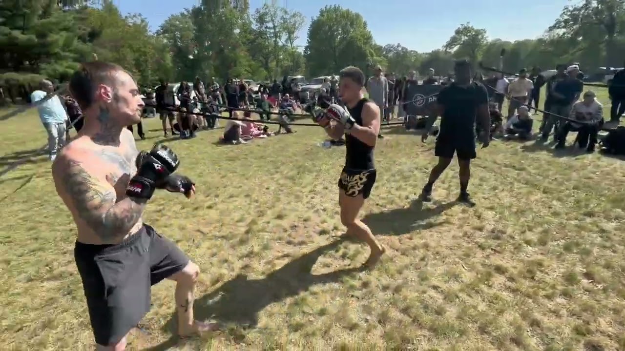 TURSI VS. LANDON W. background