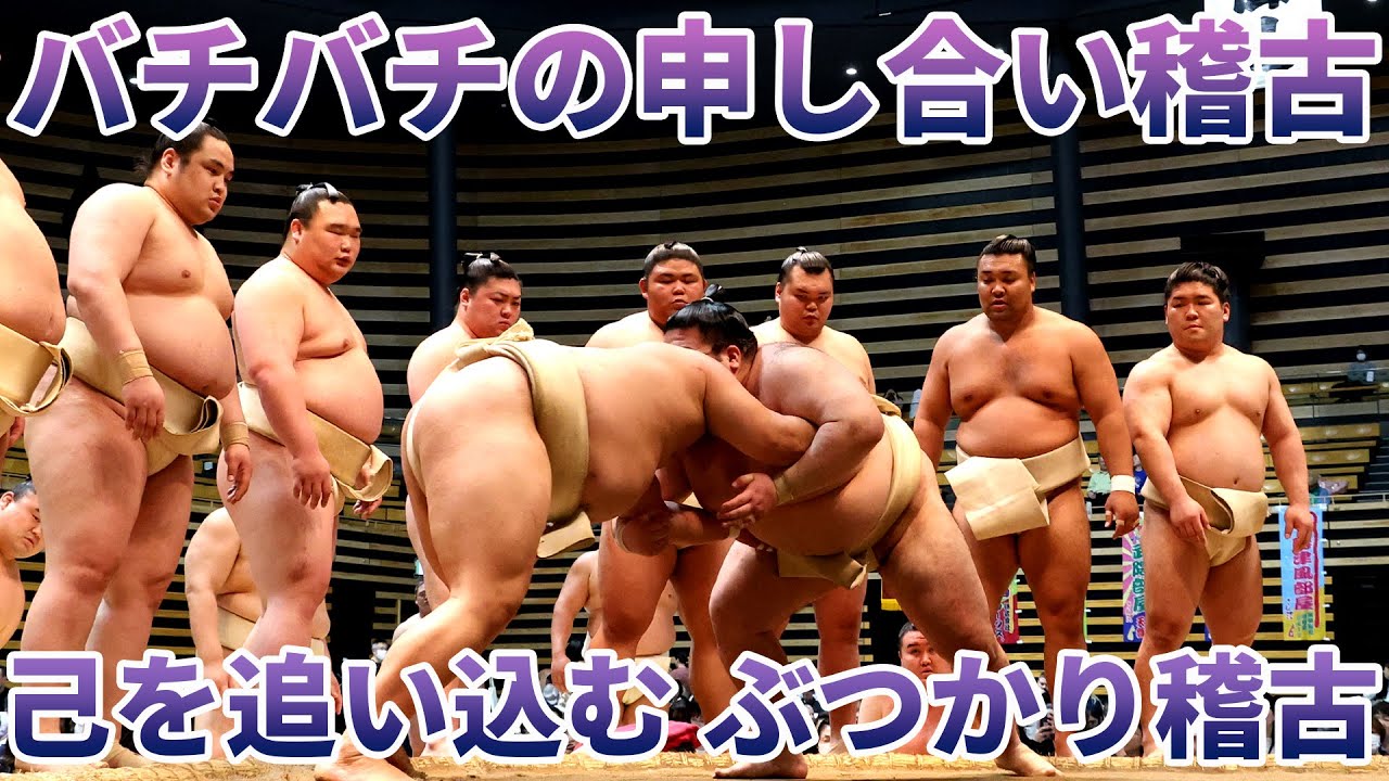迫力の稽古見学 <令和7年春巡業 城南大田場所>SUMO background