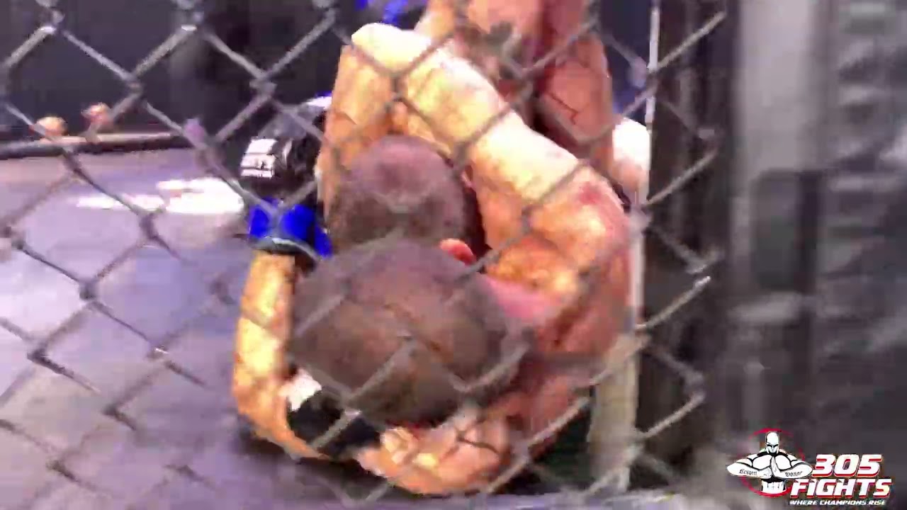 305 FIGHTS #13 Esquilin vs Hernandez background