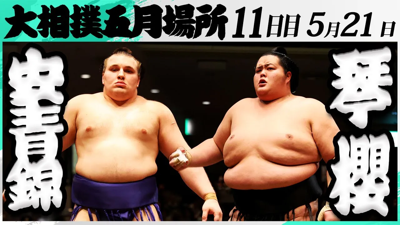 大相撲 安青錦ー琴櫻<令和7年五月場所・11日目>SUMO