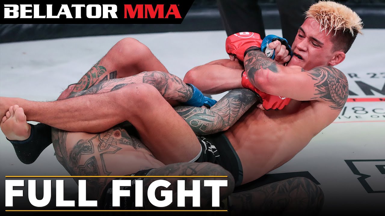 Full Fight | Jay Jay Wilson vs. Mario Navarro - Bellator 238 background