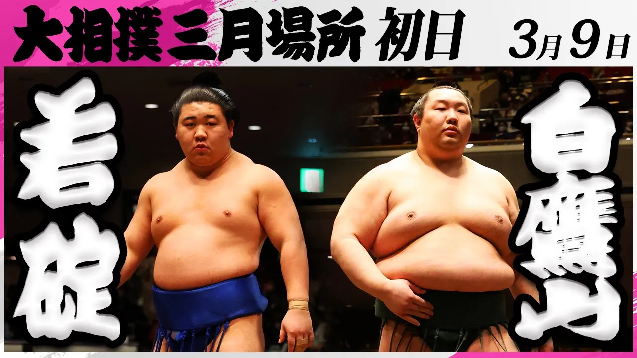 大相撲 若碇ー白鷹山<令和7年三月場所・初日>SUMO background
