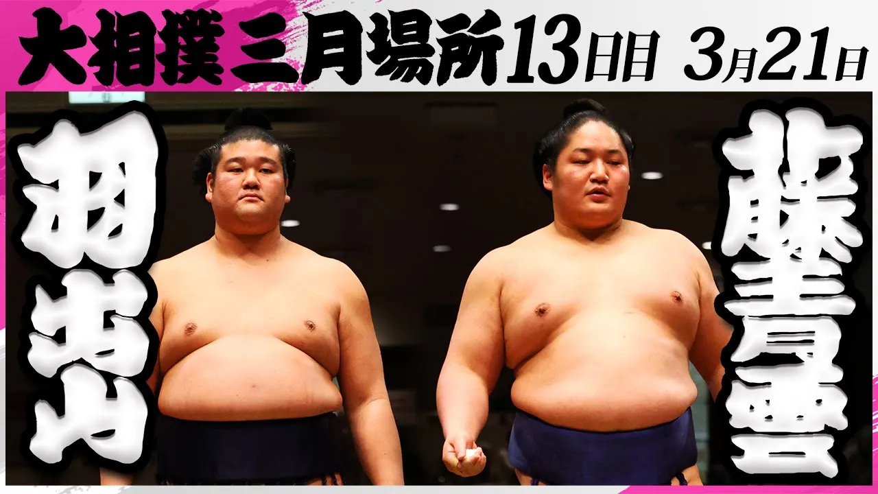 大相撲 羽出山(玉ノ井部屋)ー藤青雲(藤島部屋)<令和7年三月場所・13日目>SUMO background