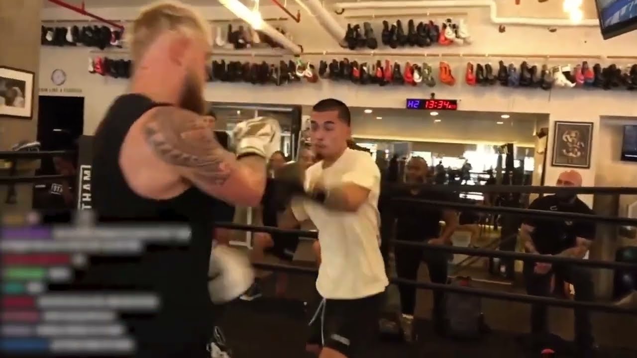 Jake Paul Showing Grace, Doesn't KO Sneako In Spar