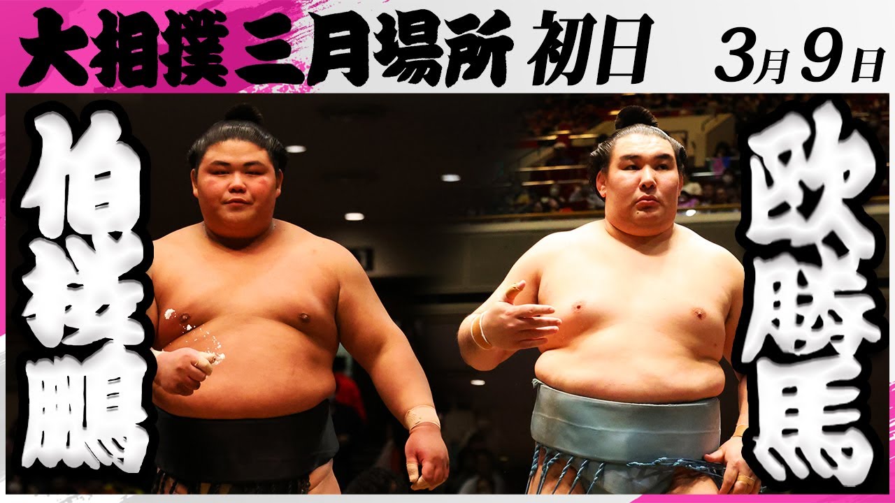大相撲 伯桜鵬ー欧勝馬<令和7年三月場所・初日>SUMO