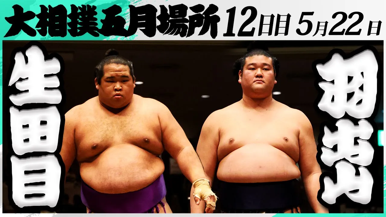 大相撲 生田目(二子山部屋)ー羽出山(玉ノ井部屋)<令和7年五月場所・12日目>SUMO background