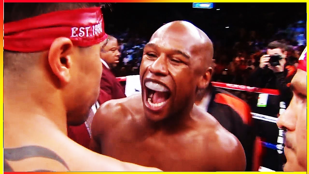 Floyd Mayweather Jr - All Knockouts of the Legend background