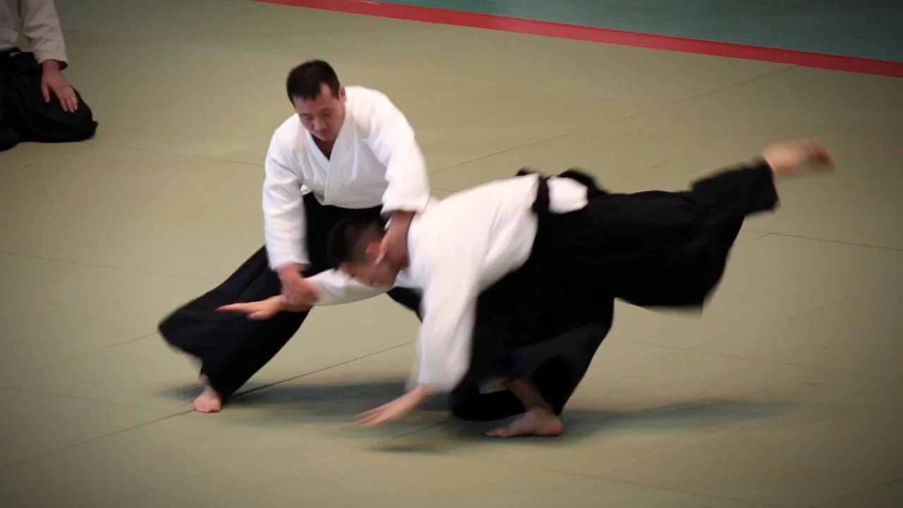 Aikikai Aikido - Sasaki Teijyu Shihan - 54th All Japan Aikido Demonstration (2016)