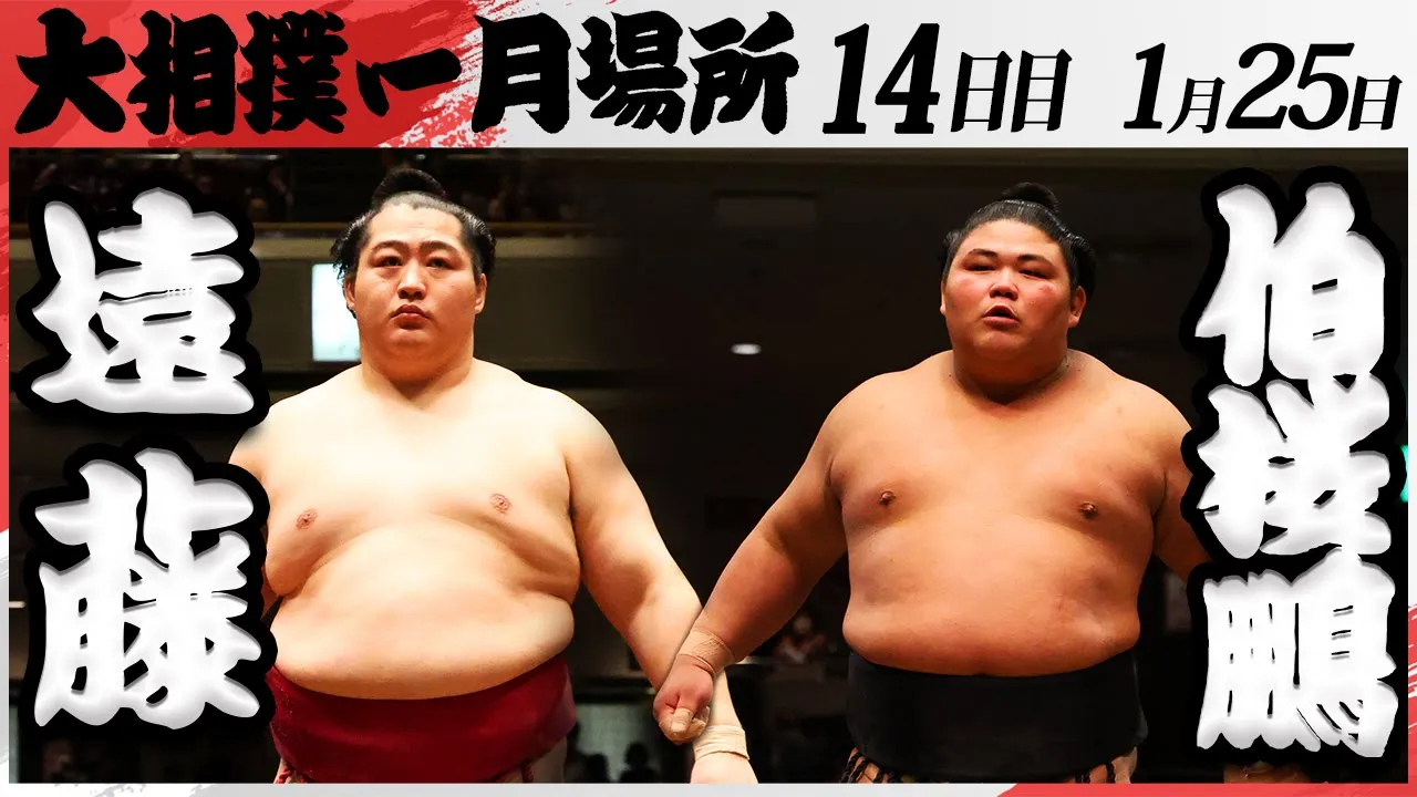 大相撲 遠藤ー伯桜鵬 <令和7年一月場所・14日目>SUMO background