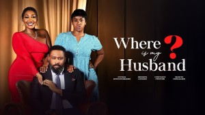 WHERE IS MY HUSBAND - sflix