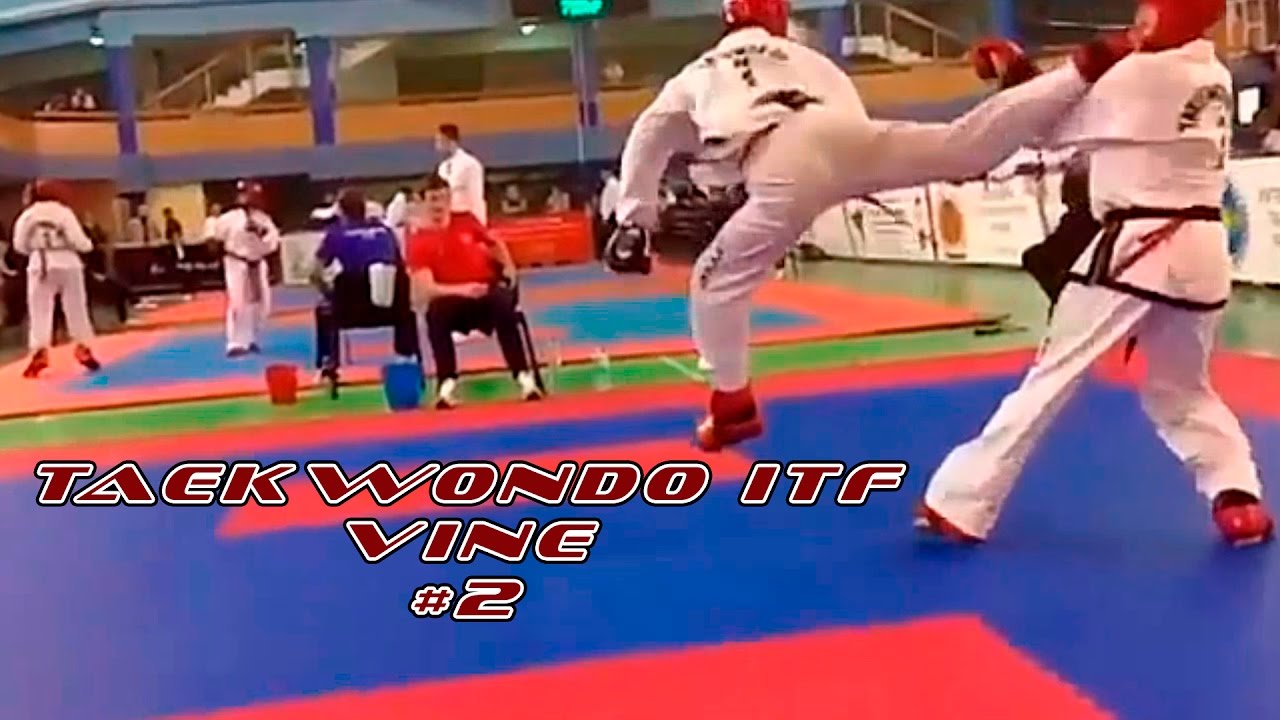 Taekwondo ITF Vine №2 background