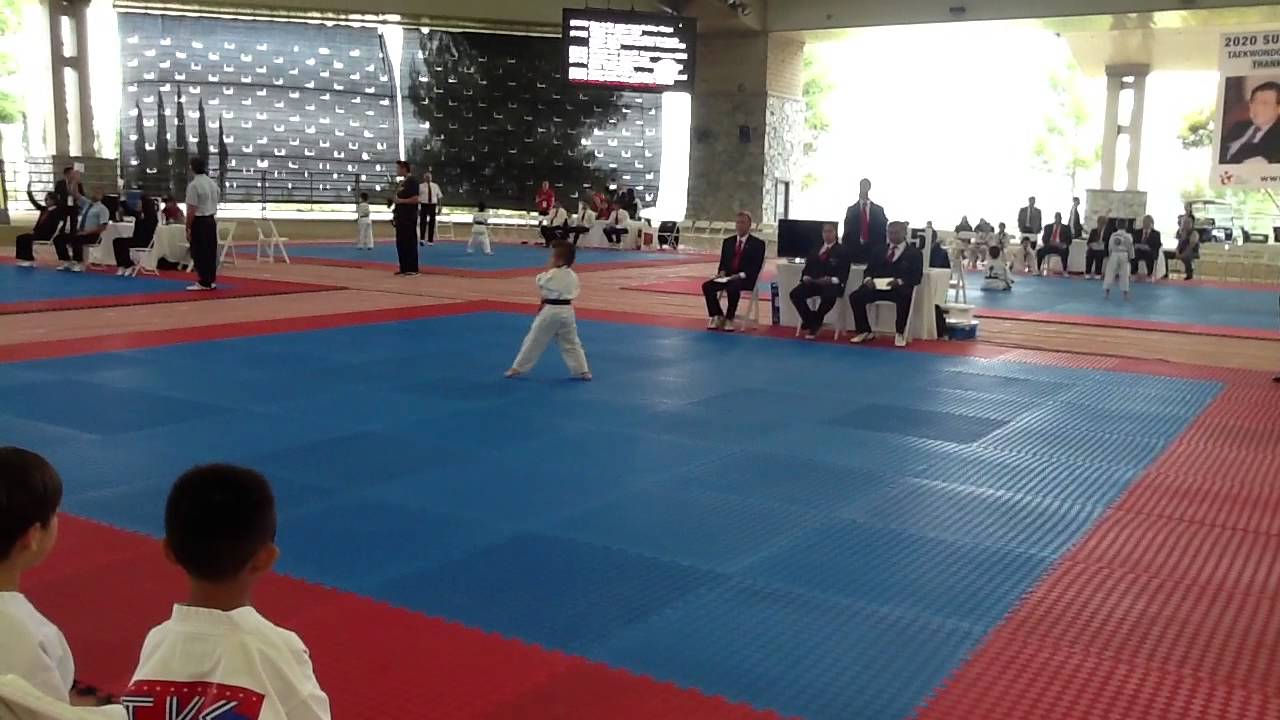 International Taekwondo Festival 2014--poomsae--(Jeremy Rios) backdrop