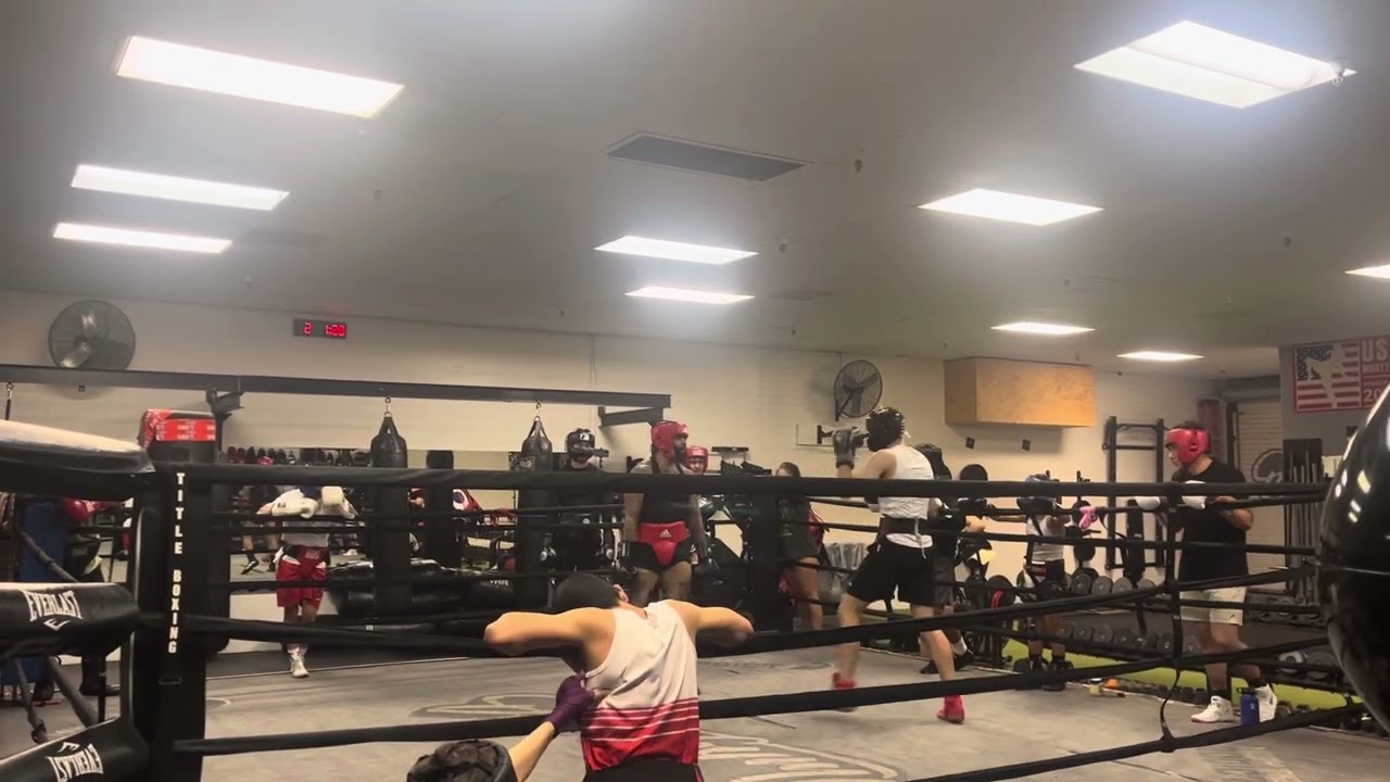 Amateur boxer vs professional boxer hard sparring