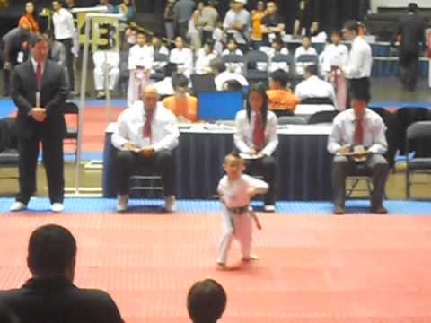 ATU TAEKWONDO NATIONALS 2013--POOMSAE--TAEGEUK SAH JANG--GREEN SENIOR backdrop