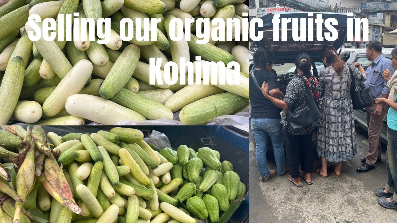 A day in Kohima selling our organic veggies background
