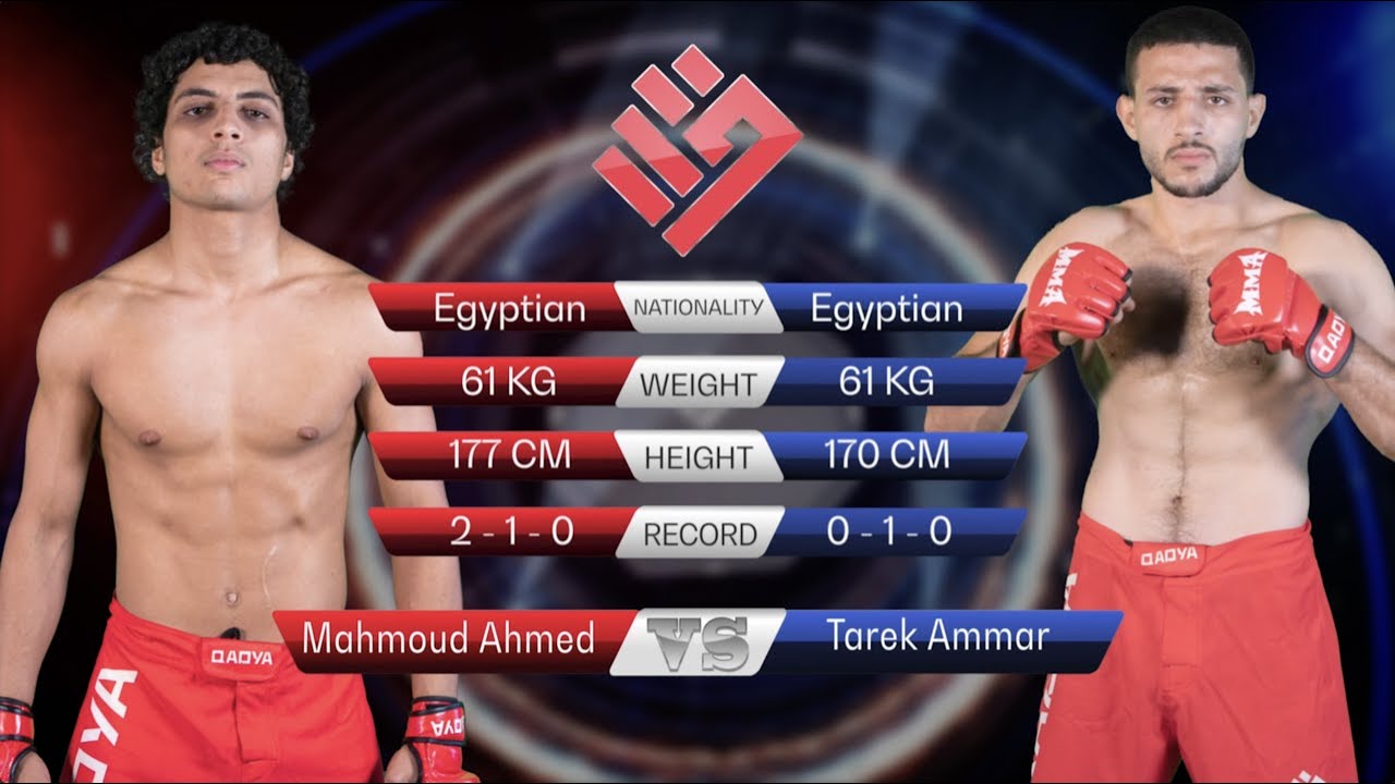 Tarek Ammar vs. Mahmoud Ahmed | FULL FIGHT | The Qage 001 #Qage001 #mma #fight #fightnight backdrop