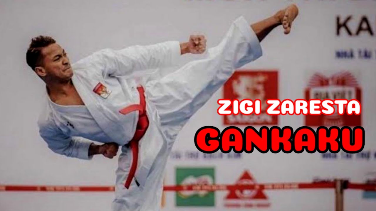 zigi zaresta kata gankaku background