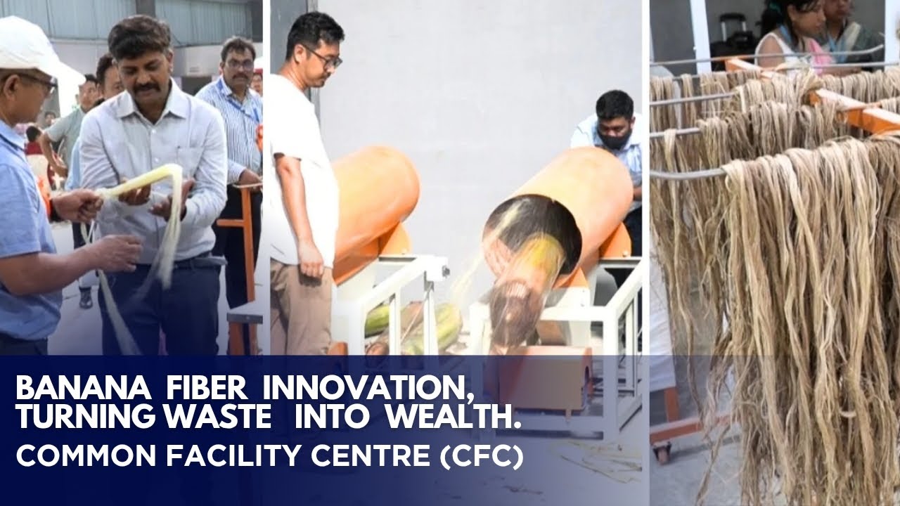 Banana Fiber Innovation, Turning waste into wealth. background