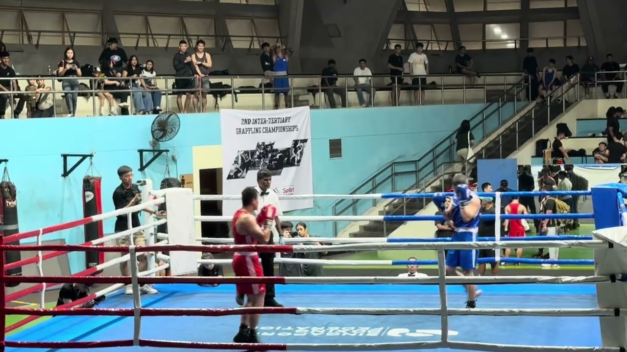 SBF Boxing Cup Series 2 - Finals - Camera A background