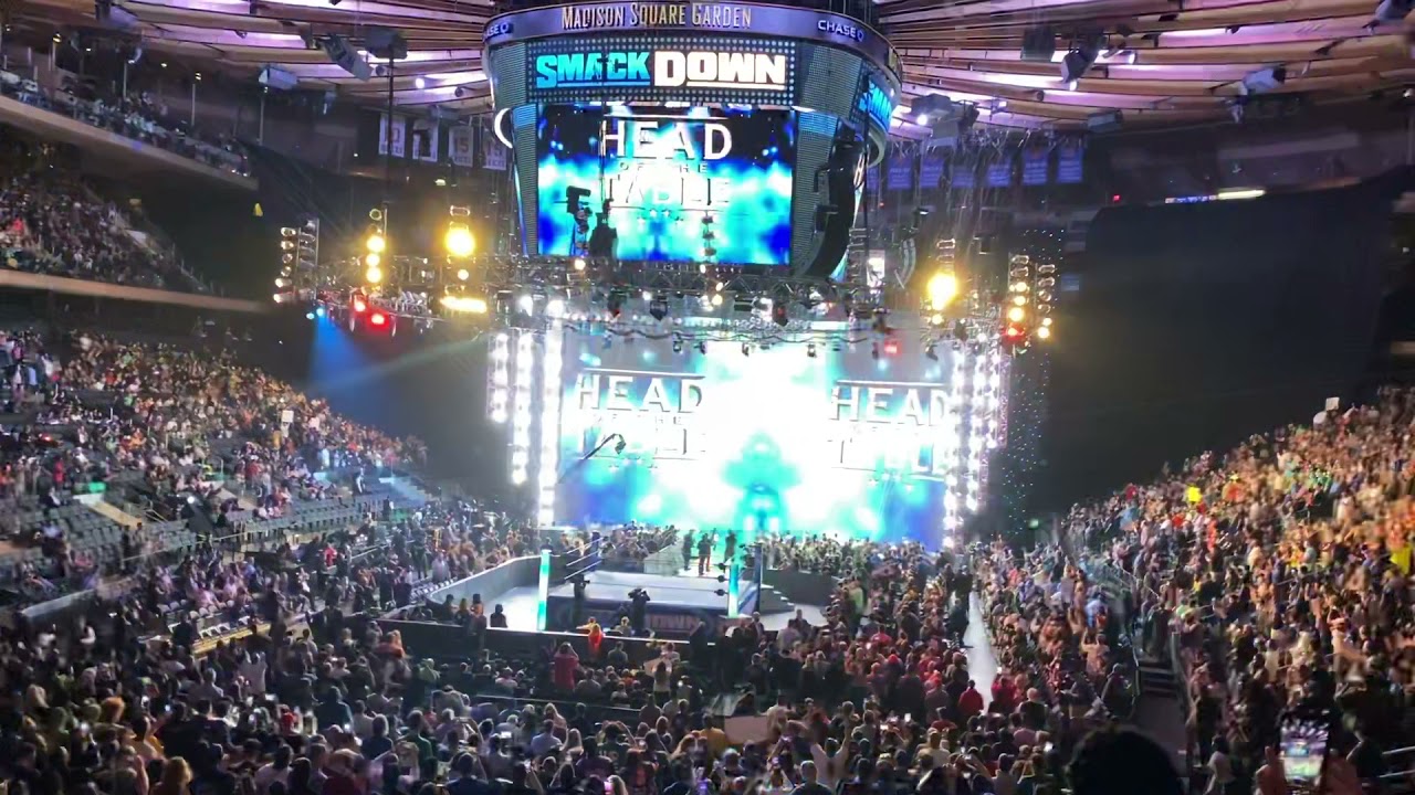 WWE Super SmackDown: The Bloodline Entrance