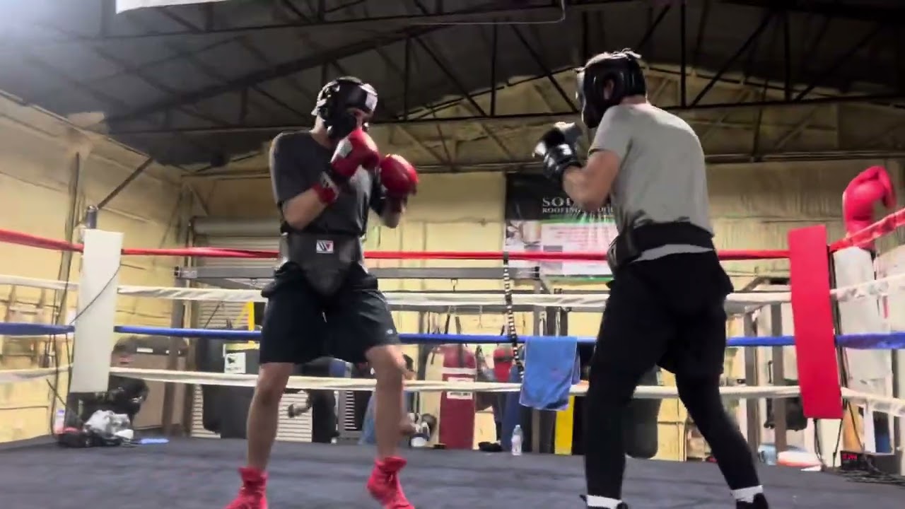 Two Middleweight technical Sparring background