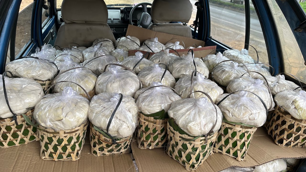 We are selling the delicious bamboo shoots in Kohima