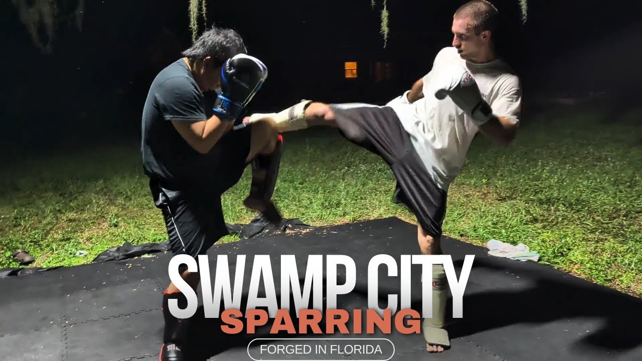 ARE THESE TAEKWONDO KICKS???