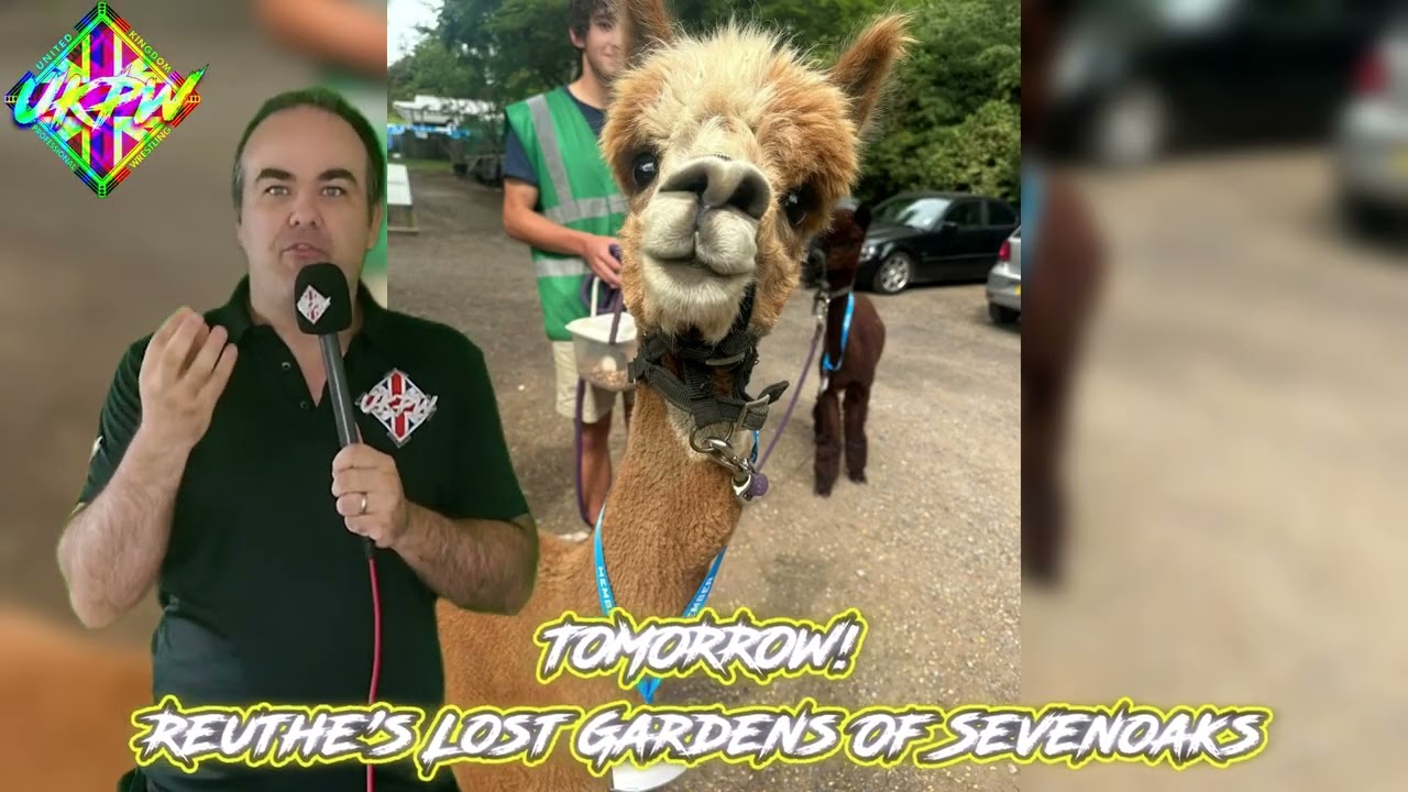 🦙 Wrestling + Alpacas?! TOMORROW at Reuthe’s Lost Gardens! 🦙 background