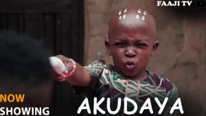 AKUDAYA