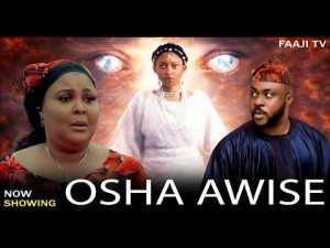 OSHA AWISE