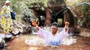 Agbara Ajoji
