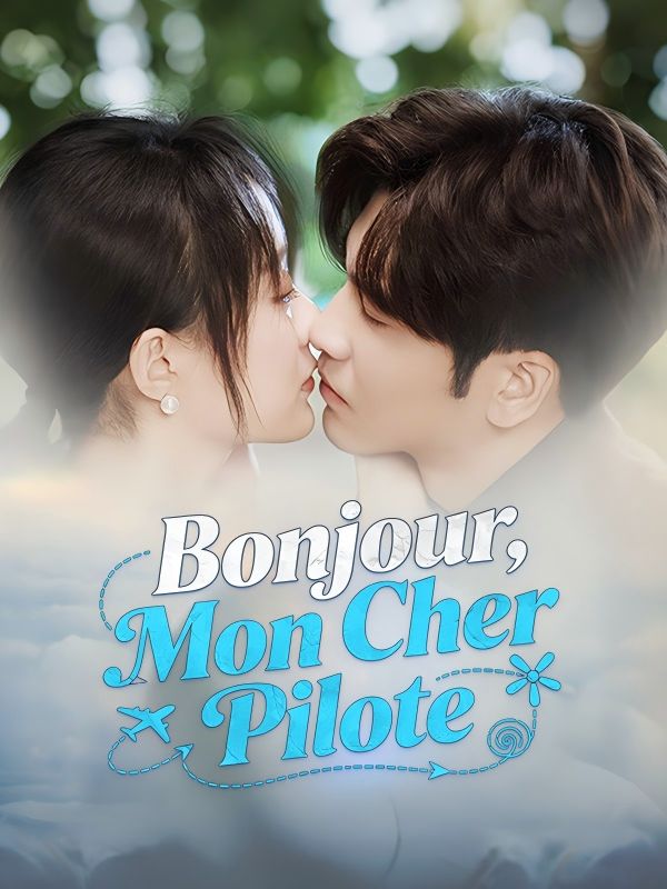 Bonjour, Mon Cher Pilote poster