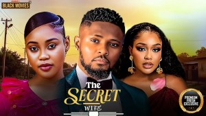 the secret wife