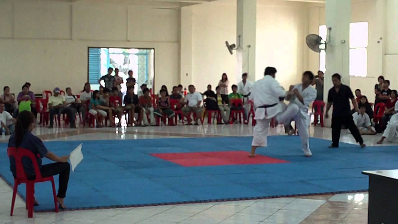 Philippine National Tournament Kyokushin 2011 - 1 background