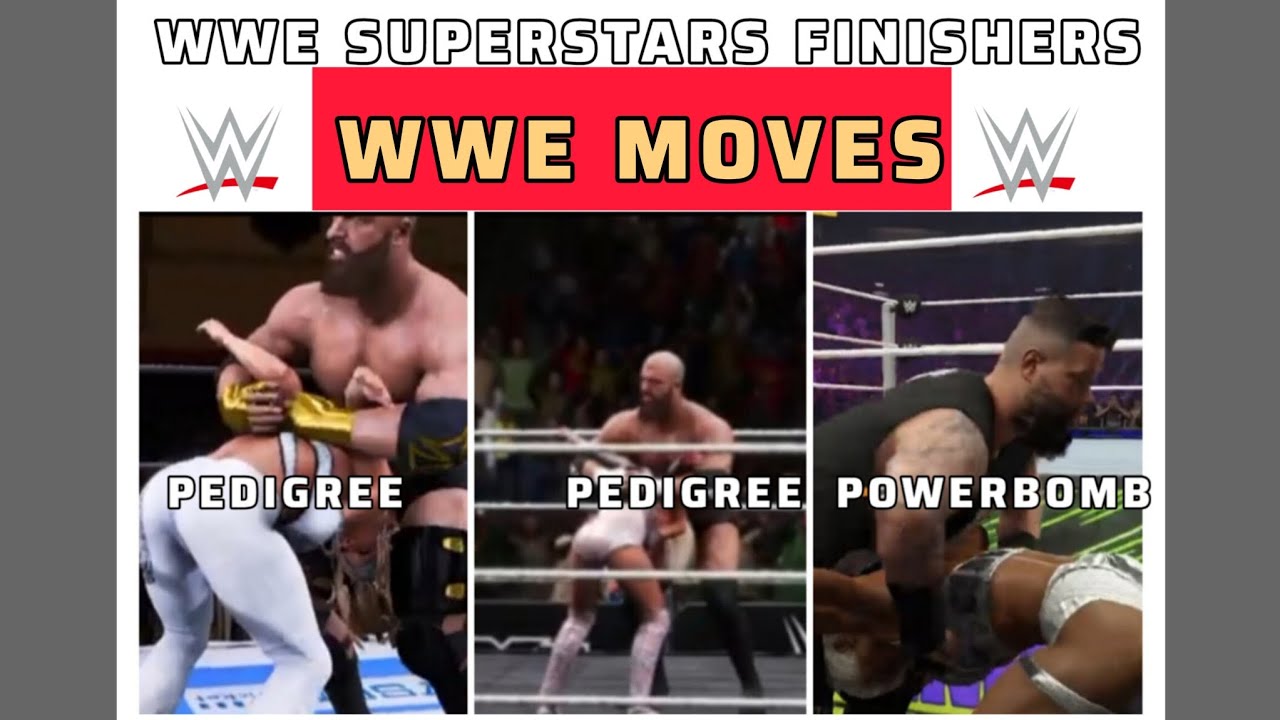 WWE SUPERSTARS FINISHERS || WWE MOVES || PEDIGREE || PILEDRIVER || POWERBOMB