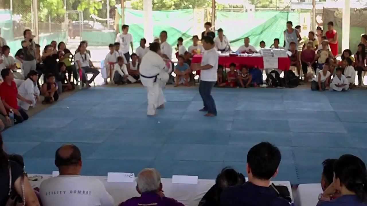 Kyokushin vs Zendokai Women's Division background