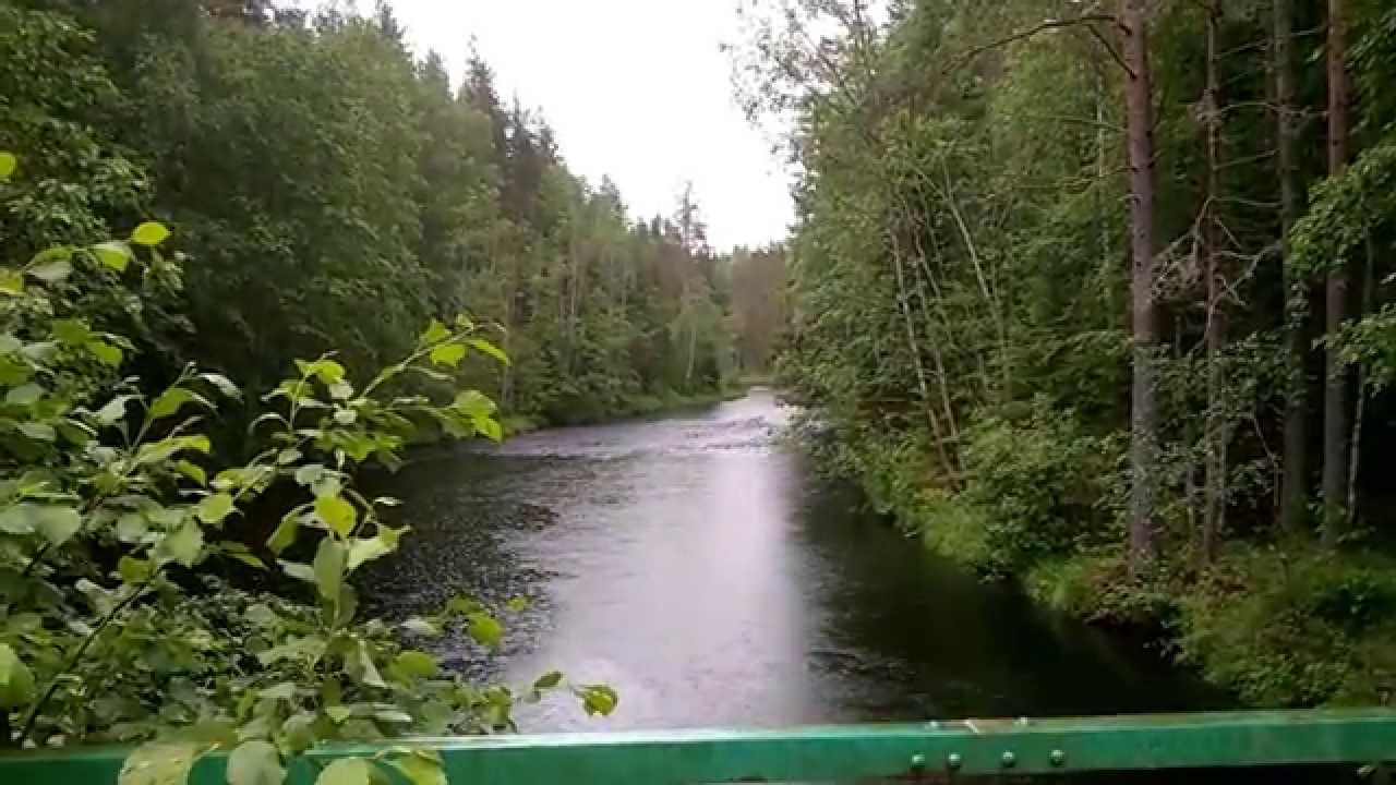 European Road Trip Experience background