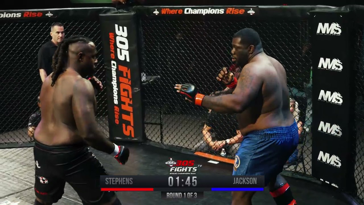JACKSON VS STEPHENS