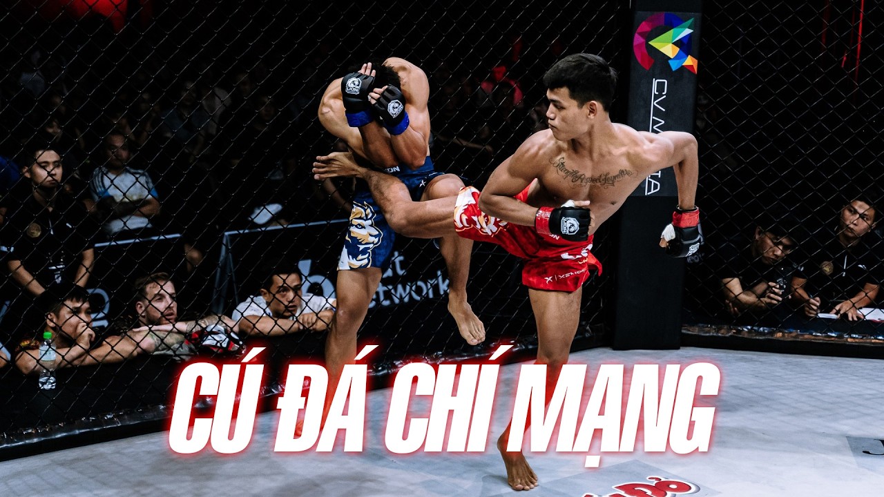 🔥Đẳng cấp Conor McGregor Việt Nam: Danh Quốc thể hiện sức mạnh của một ngôi sao hạng cân 60kg.