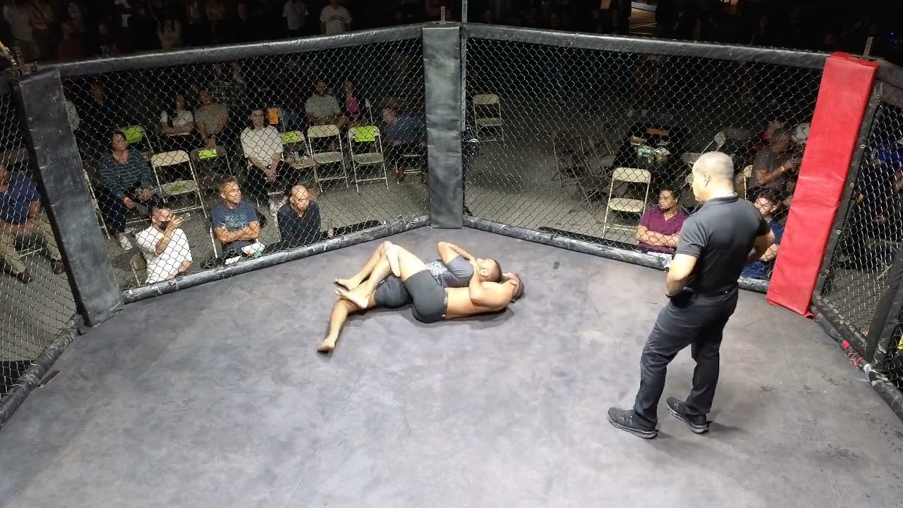 Brignole vs Ramesh