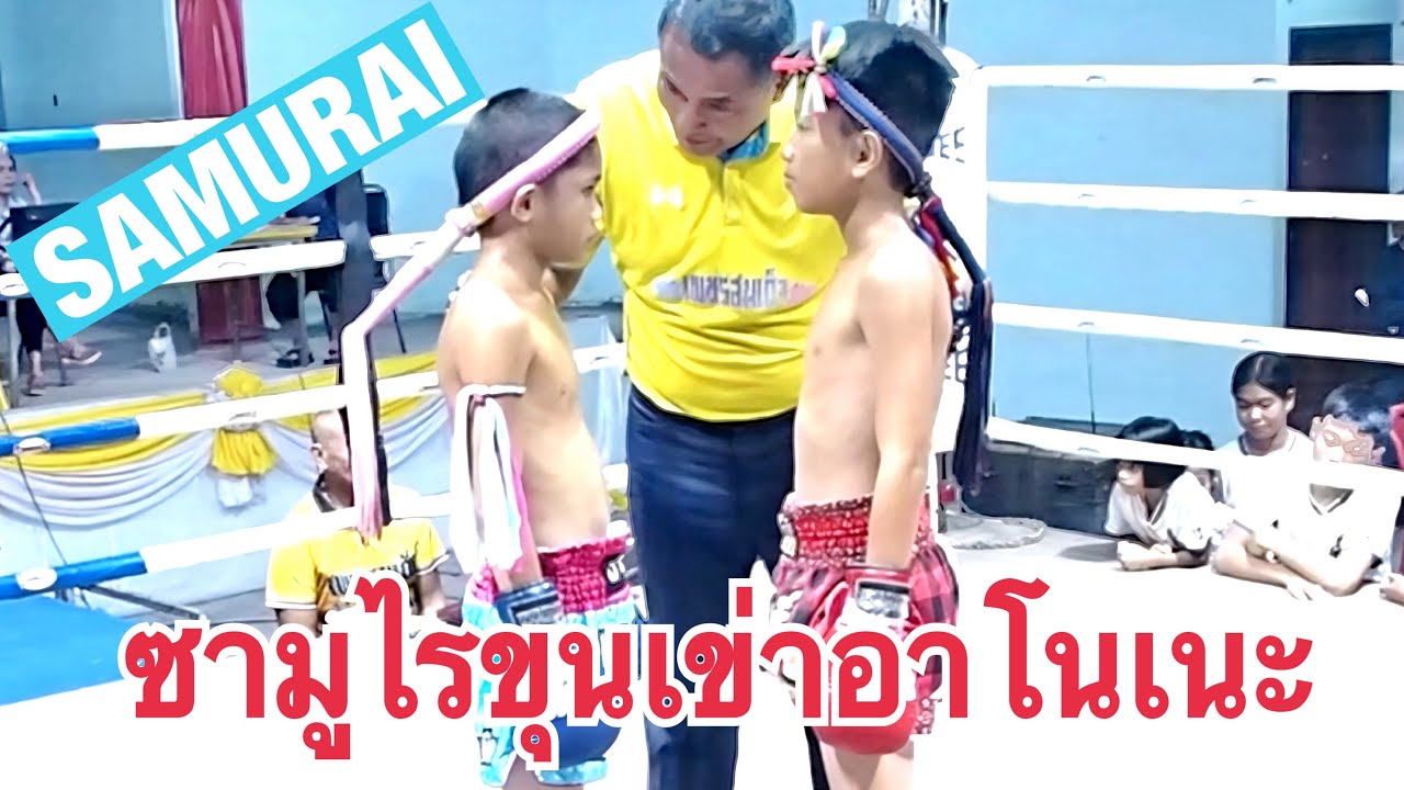 ซามูไรขุนเข่าอาโนเนะอัดตัวใหญ่🔴เพชรสัมฤทธิ์🔵ซามูไร PetchSamRid VS SAMURAI  #ムエタイ #muaythai #มวยไทย