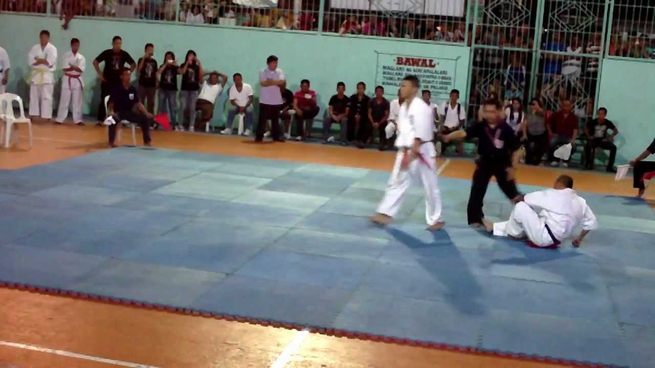 Kyokushin Philippines 2012 Mens - 3 background