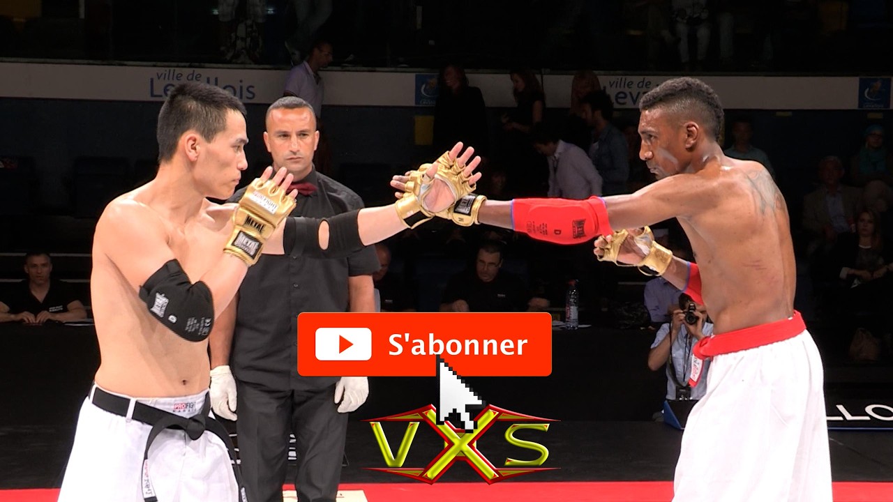 Pierre MOUA vs Johny TANCRAY By@vxstv #karate pro fight