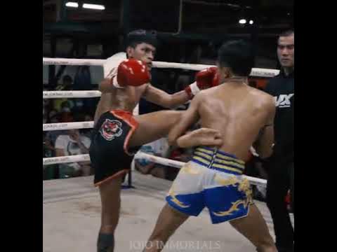 Body Kick KO: Ammahit TigerMuayThai vs Panmongkon backdrop