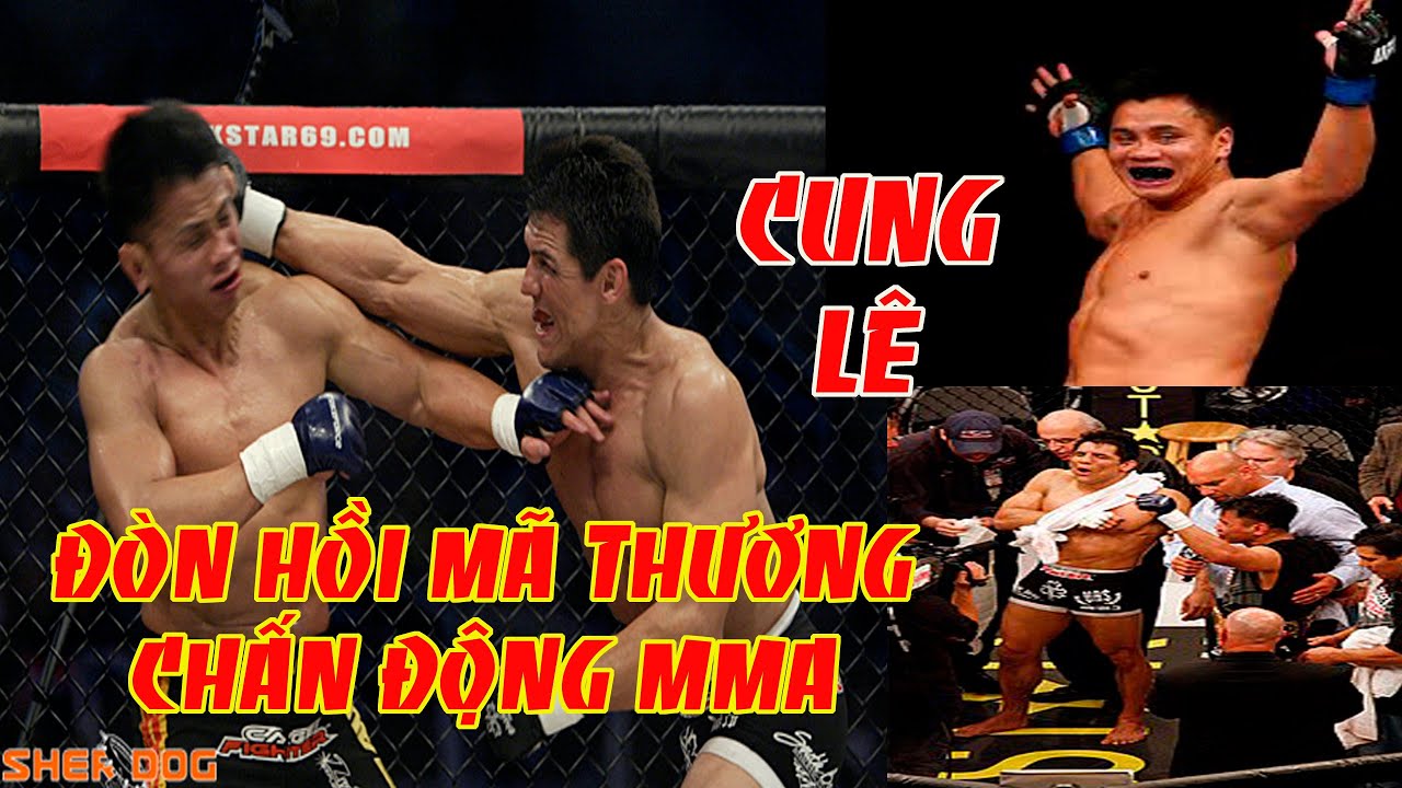 Những Đòn Hồi Mã Thương Gây Chấn Động MMA, Thất Bại Ngậm Đắng Nuốt Cay Không Thể Nào Quên