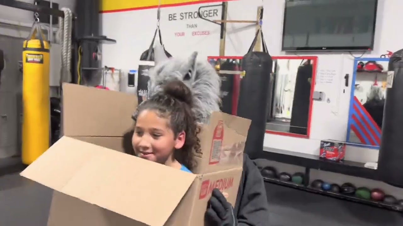 RINGING BACK BOXING. Learn In a Safe And Fun Environment. Kids Youth Adults backdrop