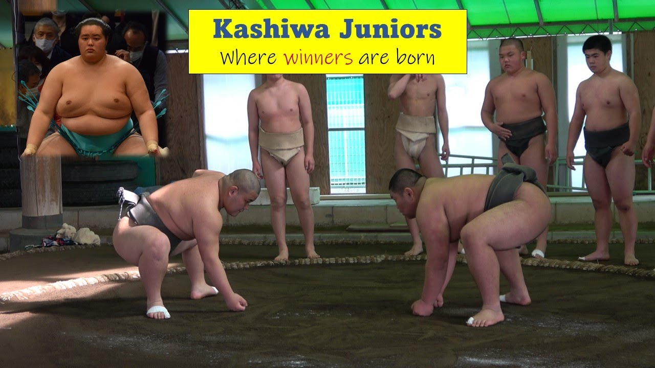 Kashiwa Juniors: Where winners are born (柏相撲少年団: 勝ち抜く力を学べる道場)