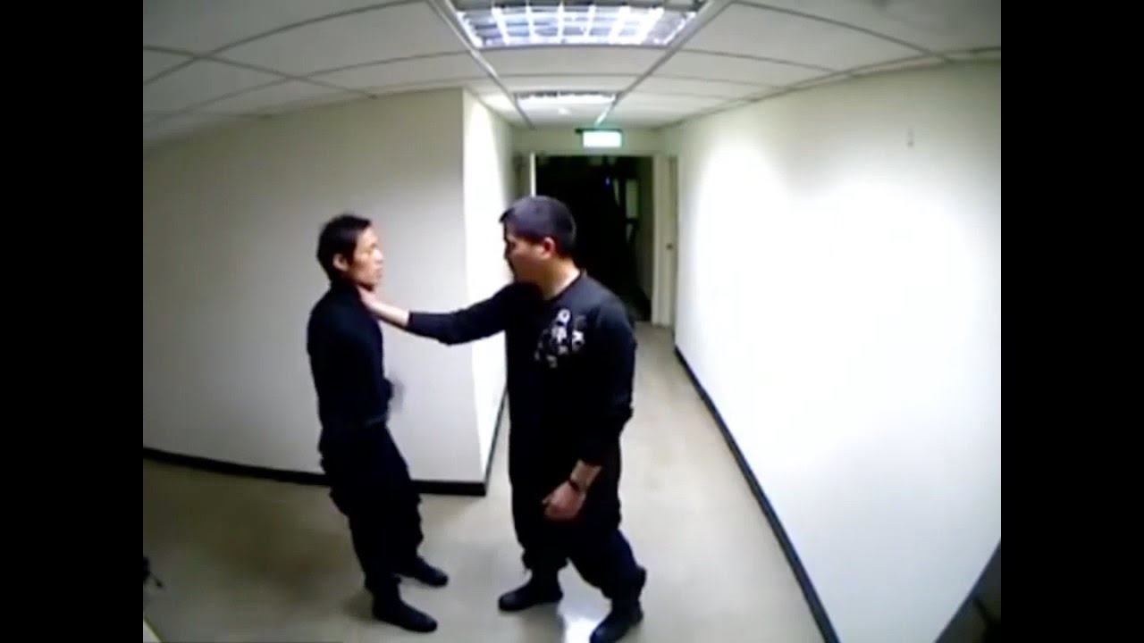 Chinese Kungfu Bullyproof Video (Qinna For Students Translated) background