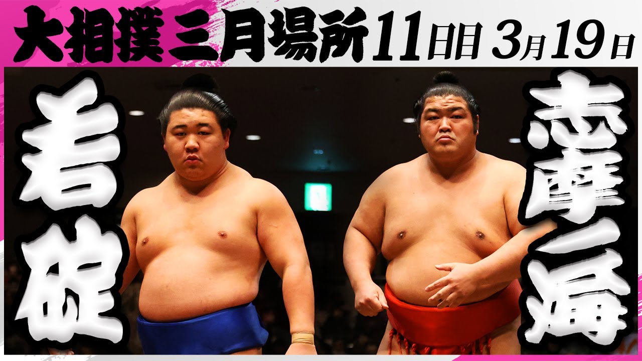 大相撲 若碇(伊勢ノ海部屋)ー志摩ノ海(木瀬部屋)<令和7年三月場所・11日目>SUMO background